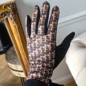 Damskie rękawiczki elegancki nadruk Elegant ciepłe z polarkiem w środku REK143WZ1 Damskie rękawiczki elegancki nadruk Elegant ciepłe z polarkiem w środku REK143WZ1