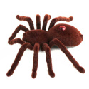 Pająk TARANTULA Zdalnie Sterowany + PILOT