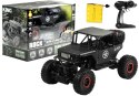 ZDALNIE STEROWANE AUTO RC CZARNY JEEP DUŻY